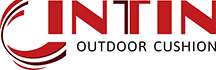CINTIN Logo