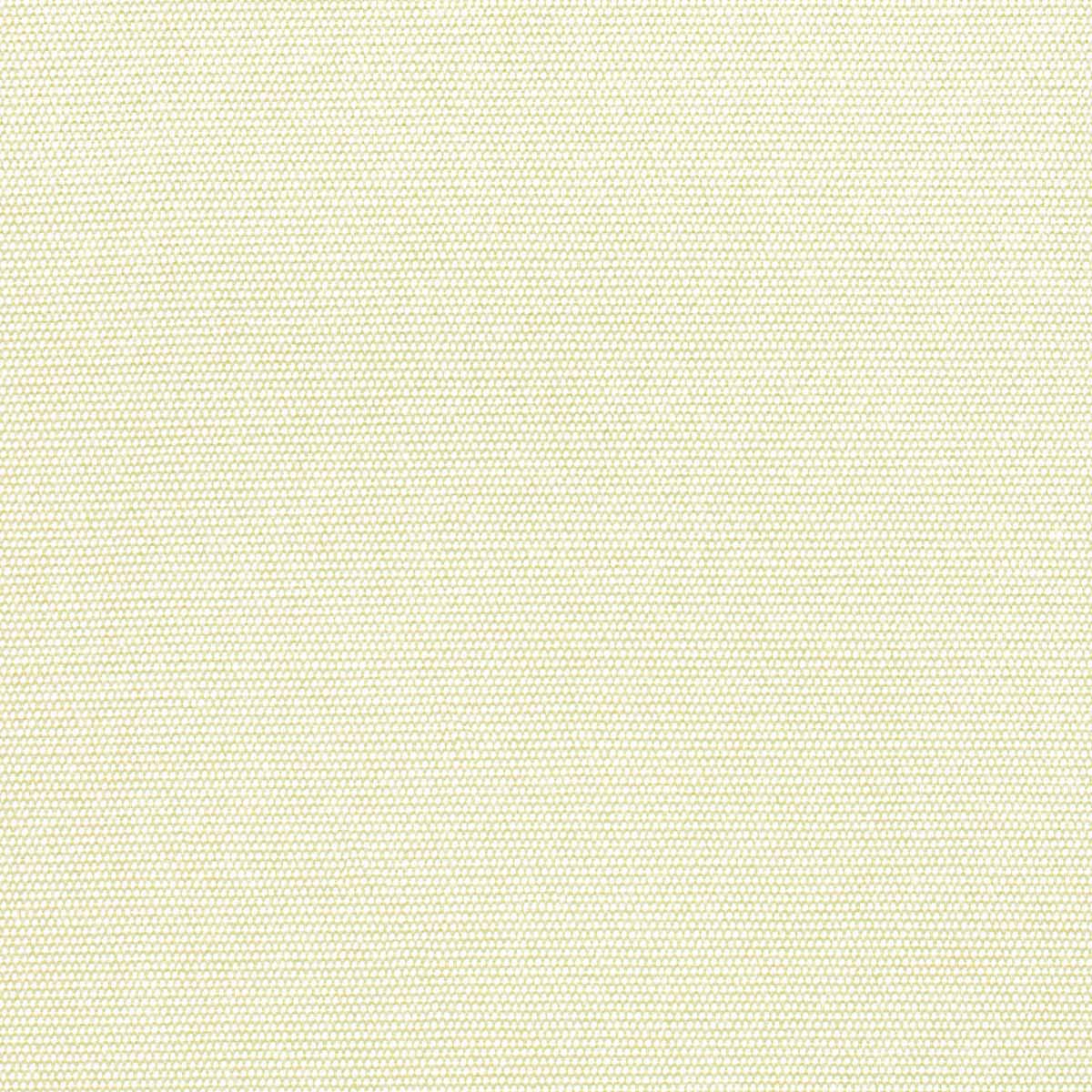 Natural - CINTIN