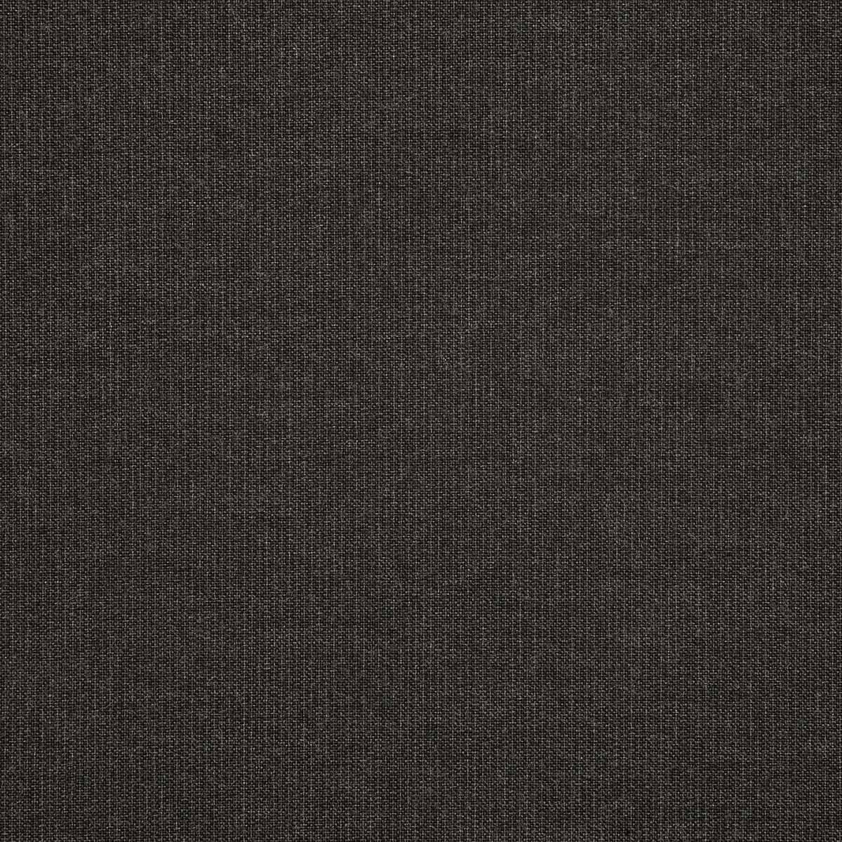 Spectrum Carbon - CINTIN