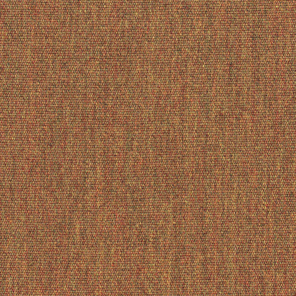 Teak - CINTIN